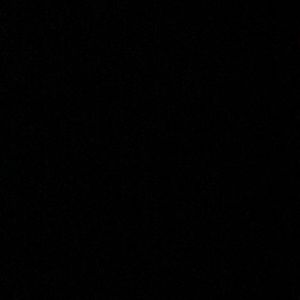 Meet your Posher, Tyra